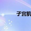 子宫肌层（关于子宫肌层简介）