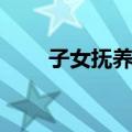 子女抚养费（关于子女抚养费简介）
