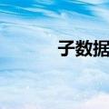 子数据表（关于子数据表简介）