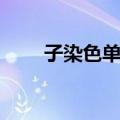 子染色单体（关于子染色单体简介）