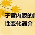 子宫内膜的周期性变化（关于子宫内膜的周期性变化简介）