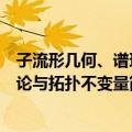 子流形几何、谱理论与拓扑不变量（关于子流形几何、谱理论与拓扑不变量简介）