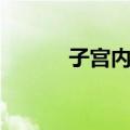 子宫内翻（关于子宫内翻简介）