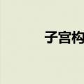 子宫构造（关于子宫构造简介）