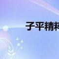 子平精粹5（关于子平精粹5简介）