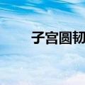子宫圆韧带（关于子宫圆韧带简介）