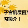 子宫肌层回声欠均匀（关于子宫肌层回声欠均匀简介）