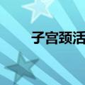 子宫颈活检（关于子宫颈活检简介）