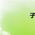 子氄（关于子氄简介）