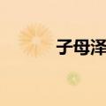 子母泽宽（关于子母泽宽简介）