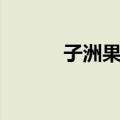 子洲果馅（关于子洲果馅简介）