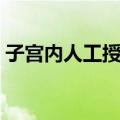 子宫内人工授精（关于子宫内人工授精简介）