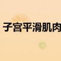 子宫平滑肌肉瘤（关于子宫平滑肌肉瘤简介）