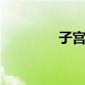 子宫角（关于子宫角简介）