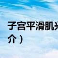 子宫平滑肌兴奋药（关于子宫平滑肌兴奋药简介）