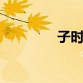 子时香（关于子时香简介）