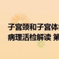 子宫颈和子宫体病理活检解读 第2版（关于子宫颈和子宫体病理活检解读 第2版简介）