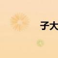 子大夫（关于子大夫简介）