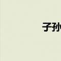 子孙窑（关于子孙窑简介）
