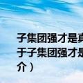 子集团强才是真的强——白万纲博士精心著述爆发巨献（关于子集团强才是真的强——白万纲博士精心著述爆发巨献简介）