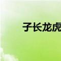 子长龙虎山（关于子长龙虎山简介）