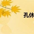孔休源（关于孔休源简介）