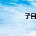 子目录（关于子目录简介）