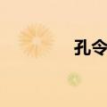 孔令微（关于孔令微简介）