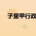 子里甲行政村（关于子里甲行政村简介）
