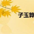 子玉算盘（关于子玉算盘简介）