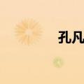 孔凡钰（关于孔凡钰简介）