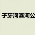 子牙河滨河公园（关于子牙河滨河公园简介）