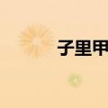 子里甲村（关于子里甲村简介）