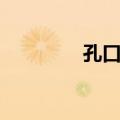 孔口流（关于孔口流简介）