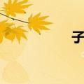 子边（关于子边简介）