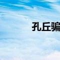 孔丘骗食（关于孔丘骗食简介）