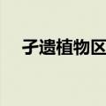 孑遗植物区系（关于孑遗植物区系简介）