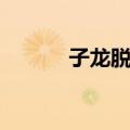子龙脱袍（关于子龙脱袍简介）