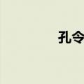 孔令让（关于孔令让简介）