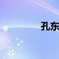 孔东平（关于孔东平简介）