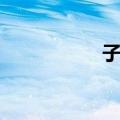 子雅（关于子雅简介）