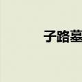 子路墓祠（关于子路墓祠简介）
