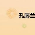孔唇兰属（关于孔唇兰属简介）