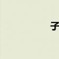 子页（关于子页简介）