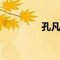孔凡磊（关于孔凡磊简介）