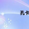 孔卡河（关于孔卡河简介）