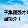 子集团强才是真的强（关于子集团强才是真的强简介）