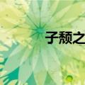 子颓之乱（关于子颓之乱简介）