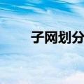 子网划分器（关于子网划分器简介）