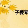 子爱琴行（关于子爱琴行简介）